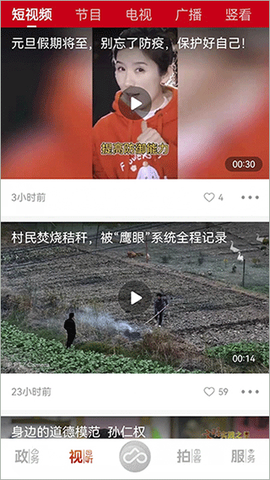 上海金山图2