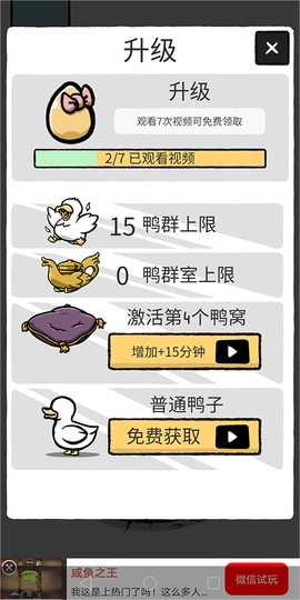 神奇的鸭子[图4]
