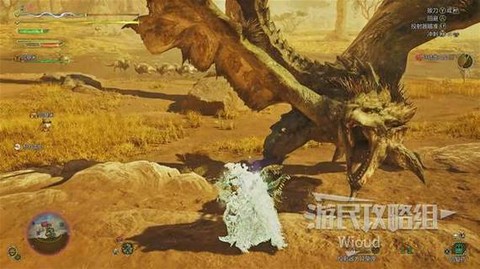 怪物猎人3雌火龙怎么打[图2]