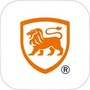 https://static.down8818.com/uploads/20250731/688ad293661be1.51835846.png