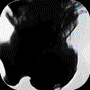 https://static.down8818.com/uploads/20250731/688adc9eab2b59.60489736.png