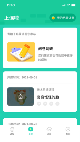 青柚子图2