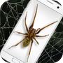 https://static.down8818.com/uploads/20250731/688affae952530.77882121.png