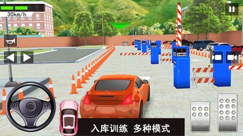 倒车入库考试图3
