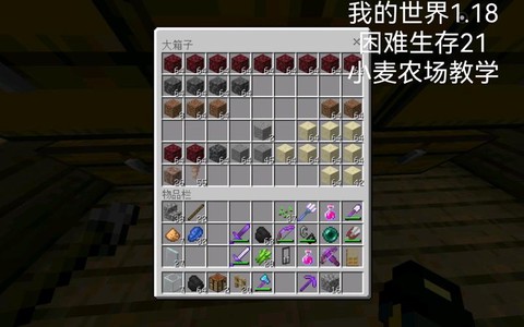 我的世界小麦怎么种[图2]