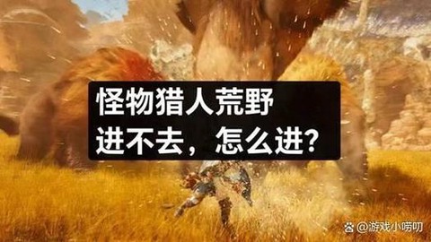 怪物猎人怎么弱化怪物