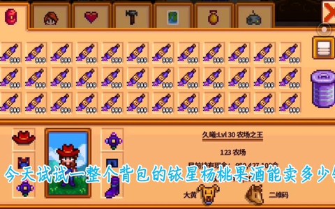 星露谷物语什么酒最贵