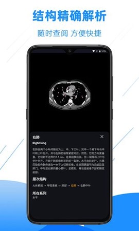 影像解剖图谱图2