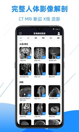 影像解剖图谱图3