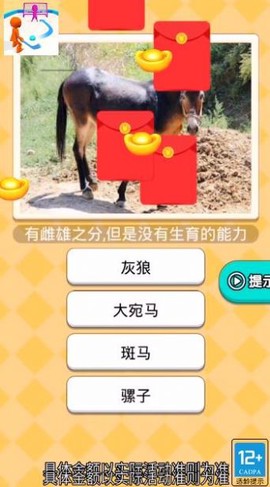 曲棍球高手图1