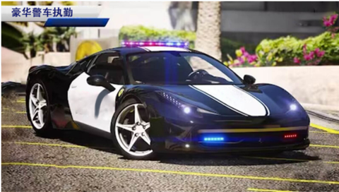 欧洲警车驾驶模拟图3