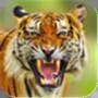 https://static.down8818.com/uploads/20250801/688c490067d317.79728601.png
