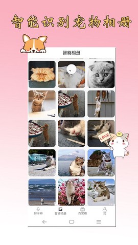 猫语狗语翻译器[图1]