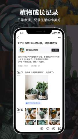 小植物[图1]
