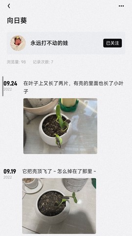 小植物图1