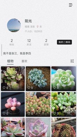小植物图2