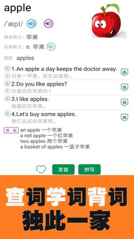 小学英语图解学习词典图2