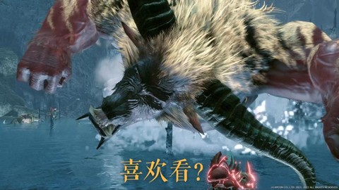 怪物猎人z顺什么意思[图2]