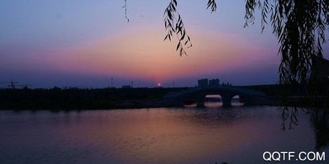 冀云鸡泽[图1]