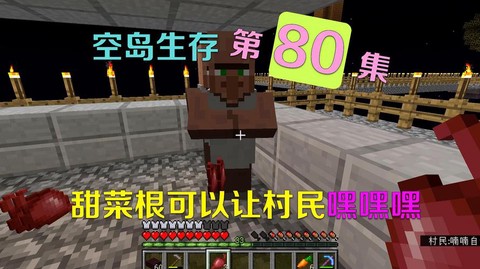 我的世界甜菜根怎么得