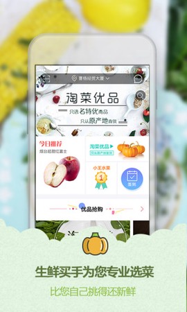 淘菜猫图1