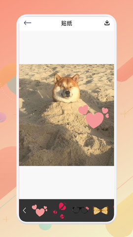 大萌相机图2