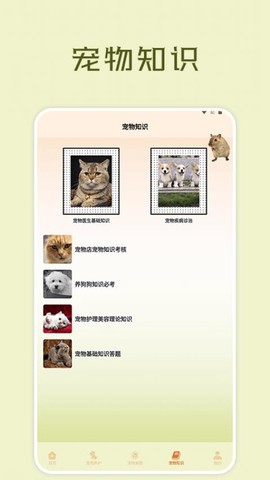 宠物小组件盒子[图1]
