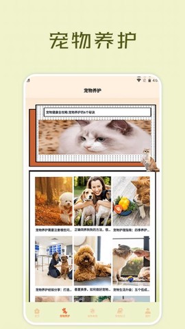 宠物小组件盒子图2