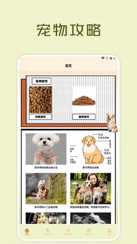 宠物小组件盒子图3