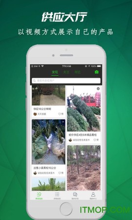 苗木市场[图1]