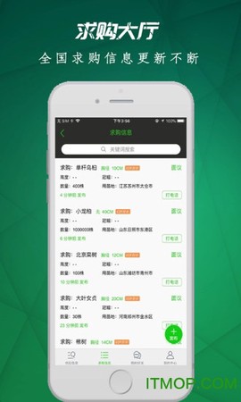 苗木市场图3
