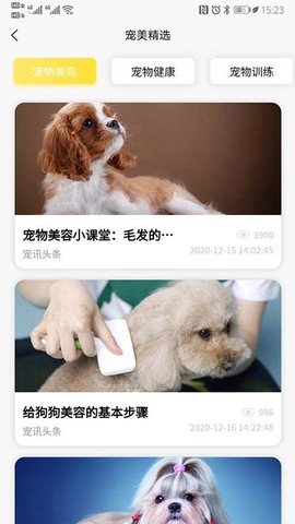 宠美会员图1