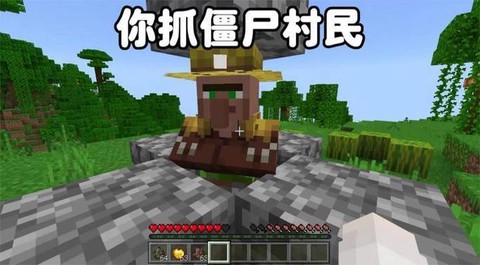 我的世界怎么捉僵尸[图1]