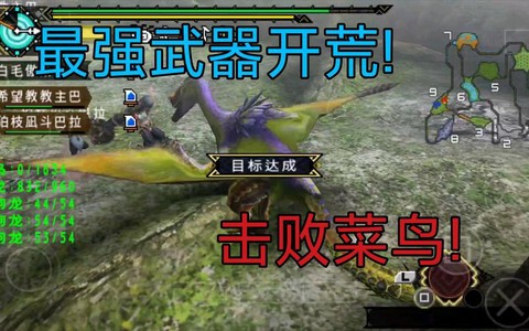 怪物猎人彩鸟怎么打