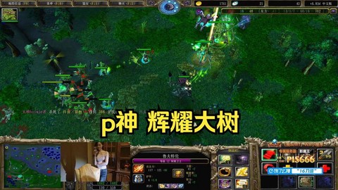 dota2怎么种树
