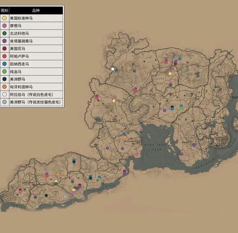 荒野大镖客2如何野马[图2]