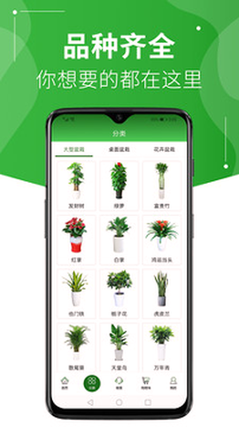 绿植到家图2