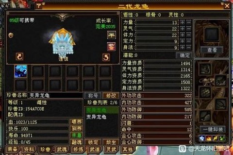 天龙八部3龙龟怎么[图1]