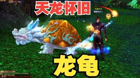 天龙八部3龙龟怎么[图2]