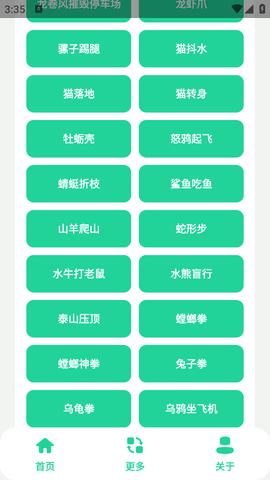 黑虎阿福盒图1