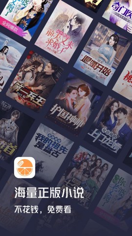 青橙小说图1