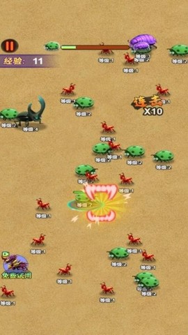 昆虫进化图1