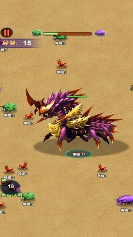 昆虫进化图2