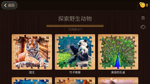 魔法拼图2020图3