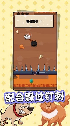 猫狗大乱斗[图1]