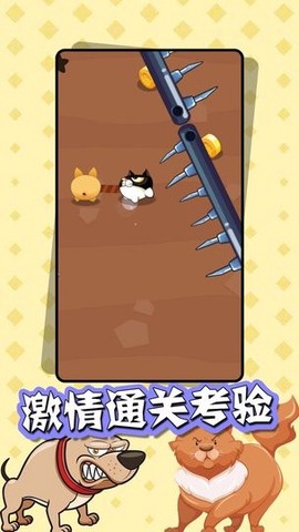 猫狗大乱斗图2