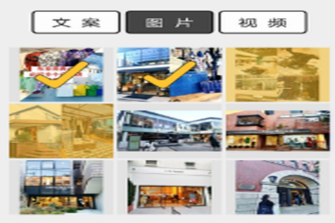 存图大师[图1]
