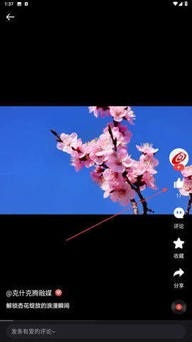 人民视频[图3]