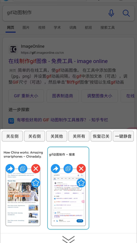 大海浏览器图3