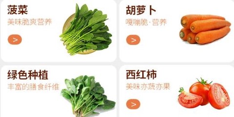 飞英巨天[图3]